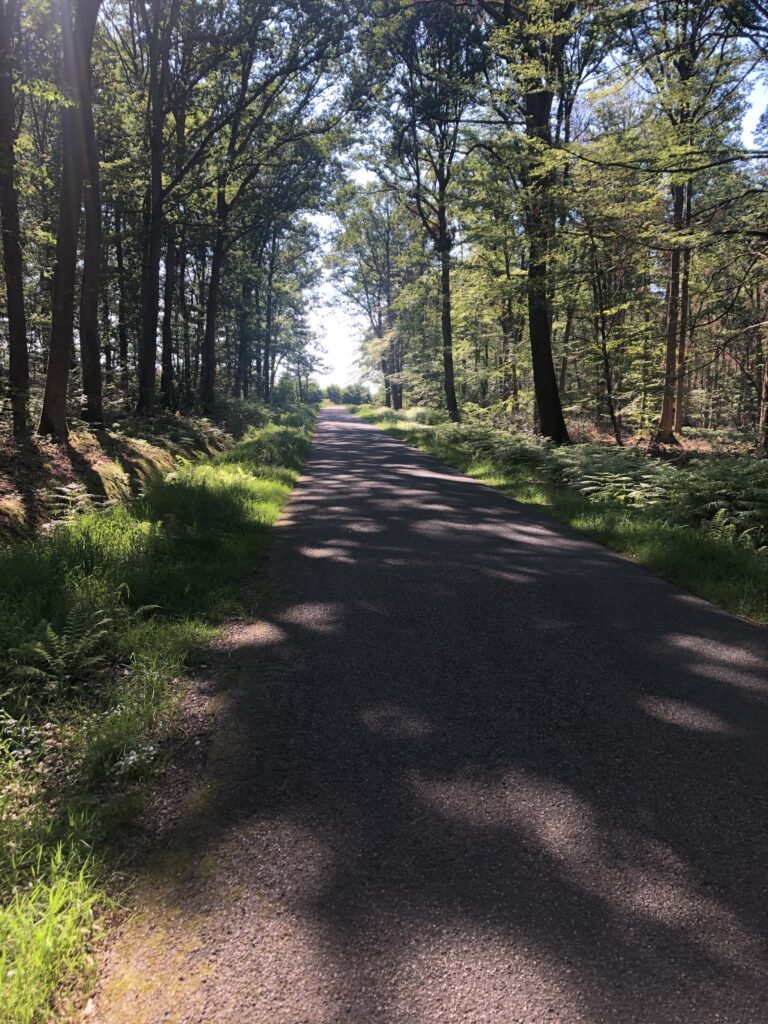 Route du Brethon