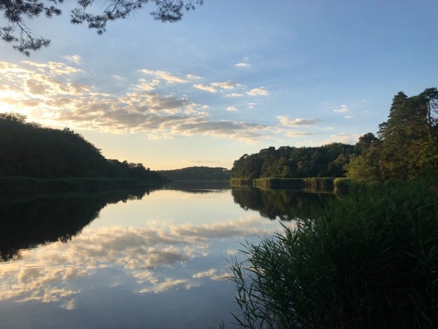 Etang de Saint Bonnet